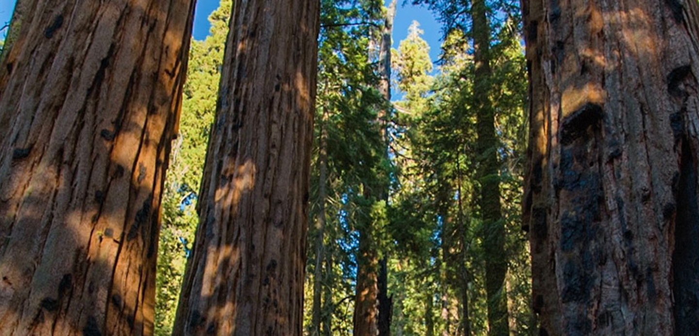 Beyond Borders: Navigating Indonesia’s Business Landscape with HSBC