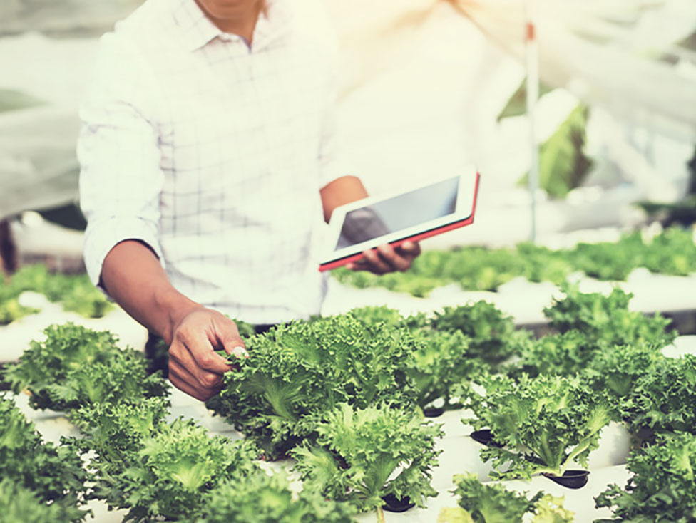 Sustainable Finance Sustainable Finance